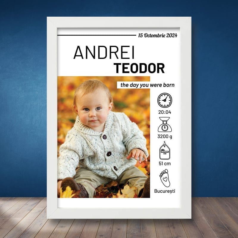 Cadou Personalizat Tablou Bebeluși The Day you were born