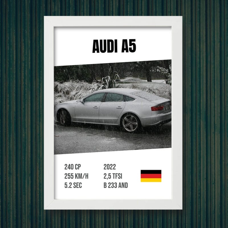 Tablou cu Poza și Datele Mașinii tale - TP-AM08